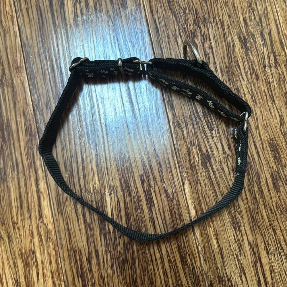 Black skull and crossbones print adjustable dog collar 22” size L/XL